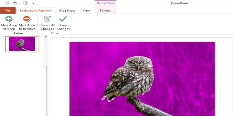 Use PowerPoint or Other Tools to Remove Backgrounds